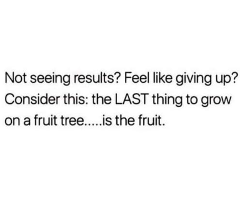FB_IMG_1693707635264