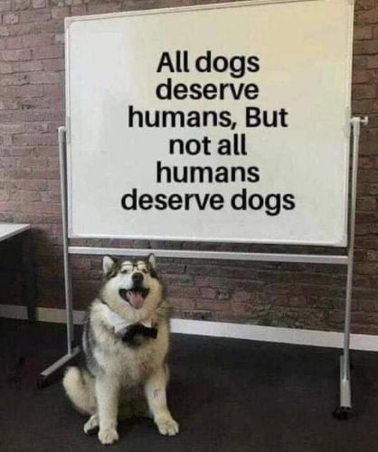 FB_IMG_1693678224507