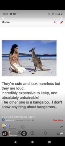 49c4d077-741a-4a1b-9f16-dea7f7925f4d