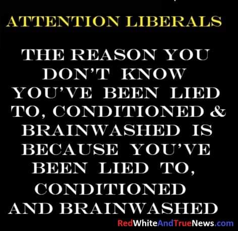 FB_IMG_1694000332575