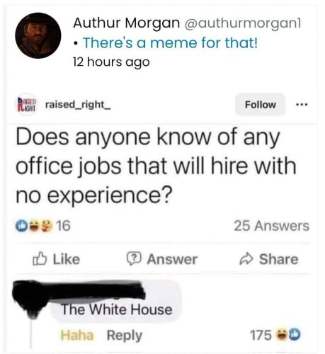 FB_IMG_1694544463071