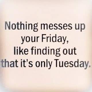 FB_IMG_1695164245873