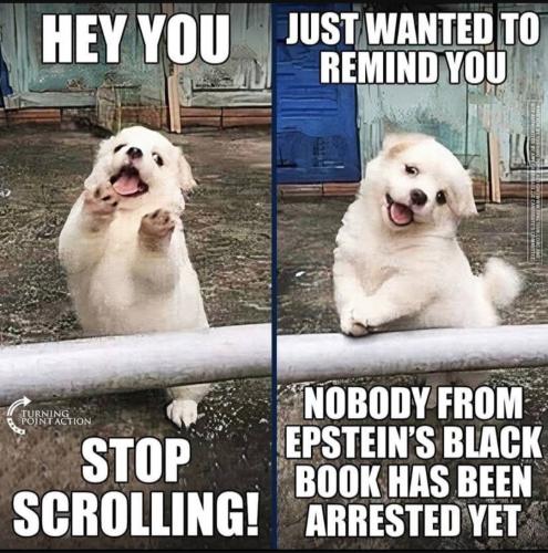 Screenshot_20230917_151800_YouTube