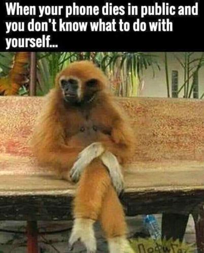 FB_IMG_1695887274691