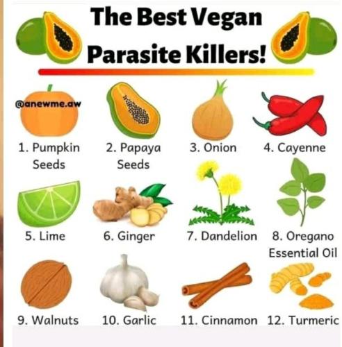Parasite Foods and Herbs