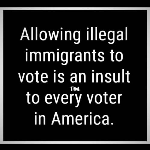 illegal voters m
