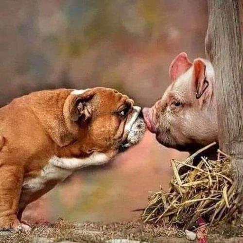 FB_IMG_1695221629422