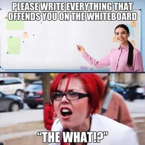 FB_IMG_1695325712710