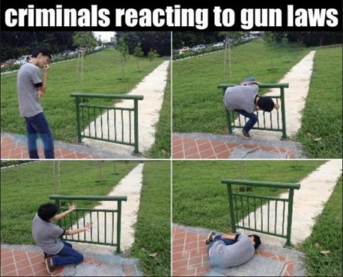 criminals reacting to gun laws