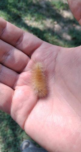 received_3194813247485983