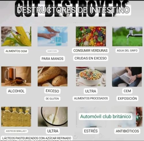 photo_2023-09-04_21-15-47