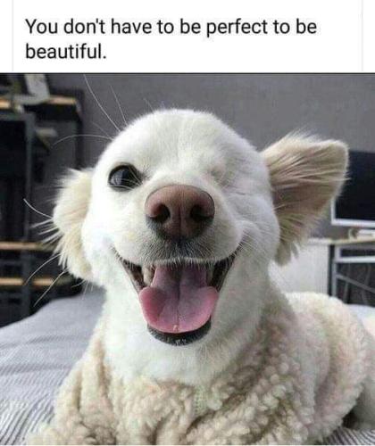 FB_IMG_1693764769997