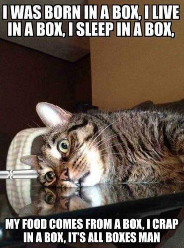 FB_IMG_1695565163505