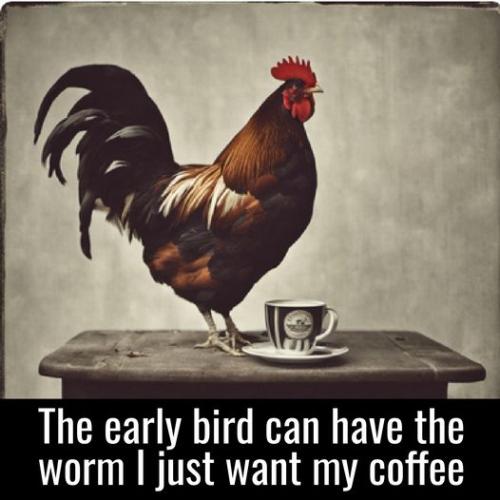 374580303_835288361405696_882466344391247509_n