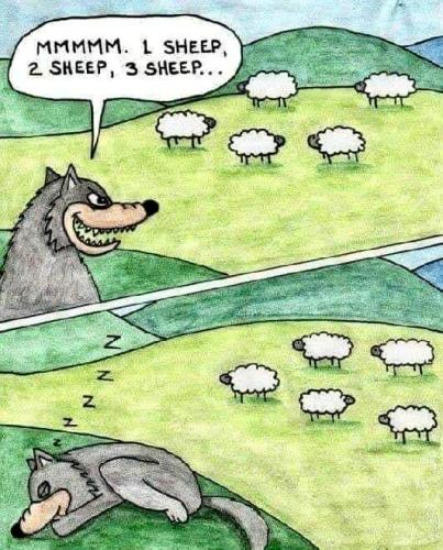 FB_IMG_1693598930288