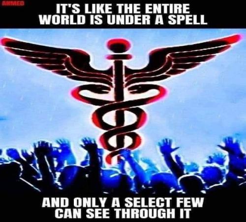 FB_IMG_1695801224759
