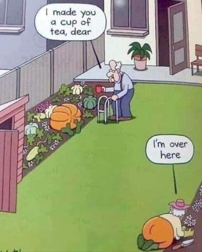 FB_IMG_1693946700518