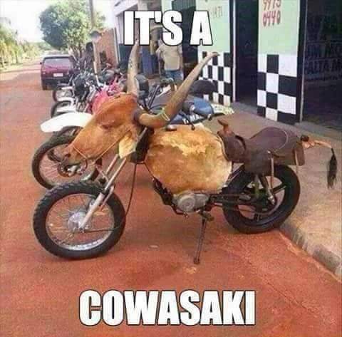 FB_IMG_1695690002065