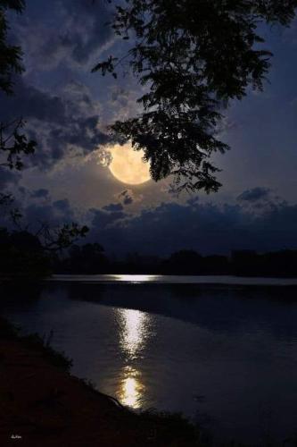 FB_IMG_1693726429180