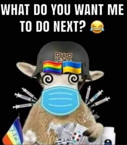 FB_IMG_1694373289317