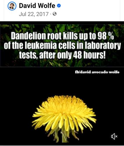 19:19:23 GMT-0400 (EDT)