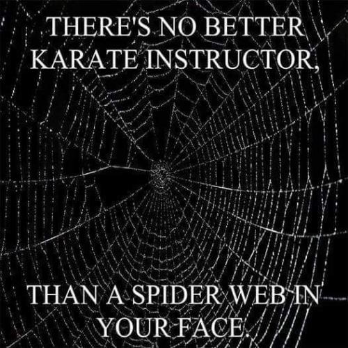 FB_IMG_1695311140425