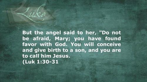 Luke 1_30-31