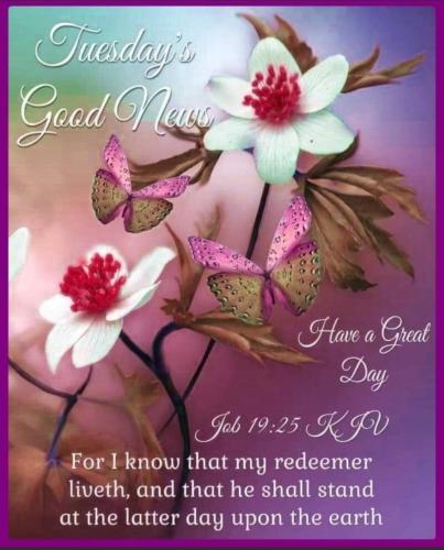 Screenshot_20230926_100407_MeWe