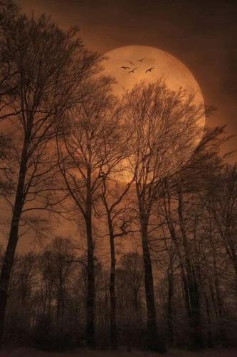 FB_IMG_1693719839896