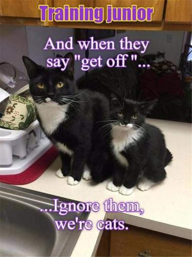 FB_IMG_1695772715132