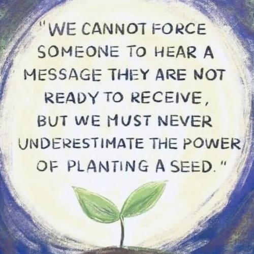 1A-Planting a Seed