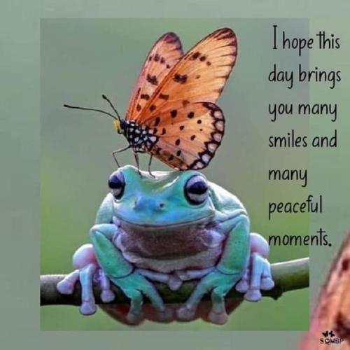 FB_IMG_1693761854764