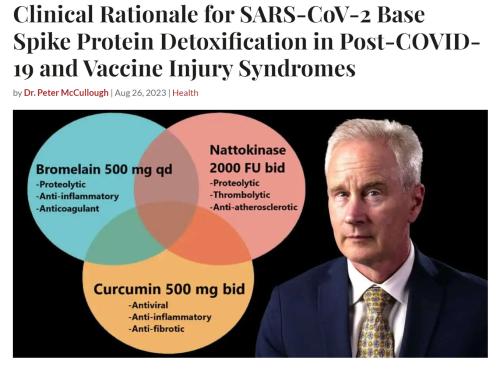 Spike Protein Detox 2