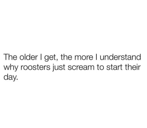 374536208_10160185716165995_5407621925953294859_n