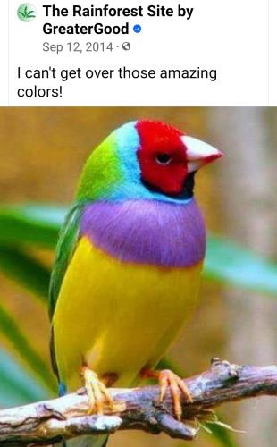 12:28:09 GMT-0400 (EDT)