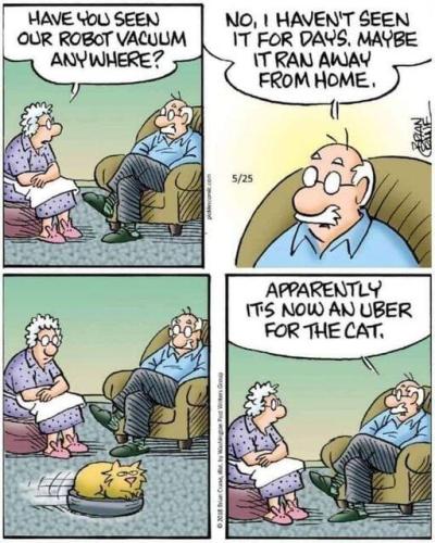 cat uber