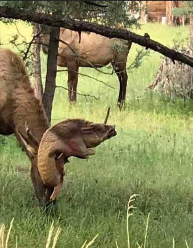 FB_IMG_1695051464212