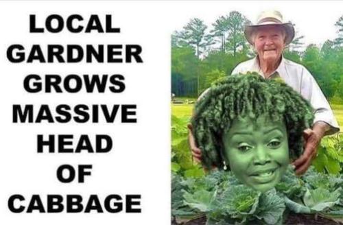 karine jean-pierre16