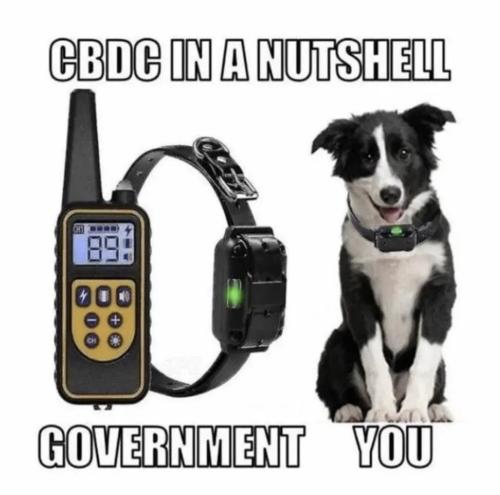 photo_2023-09-25_19-08-28