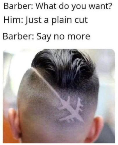 plain cut