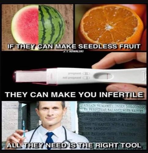 Screenshot_20230928_204529_YouTube