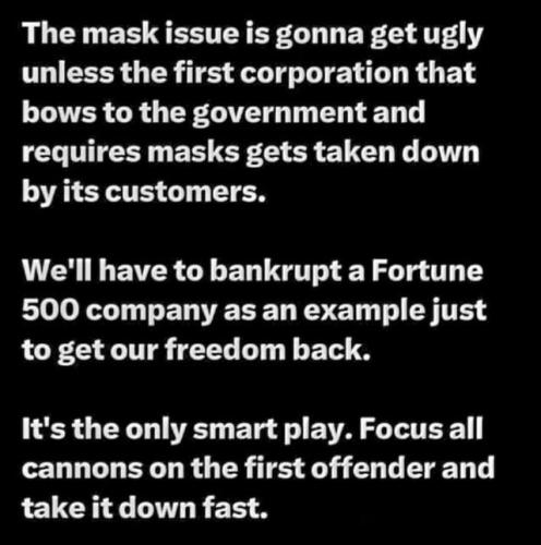 Time to take down a Fortune 500 company over the mask mandates