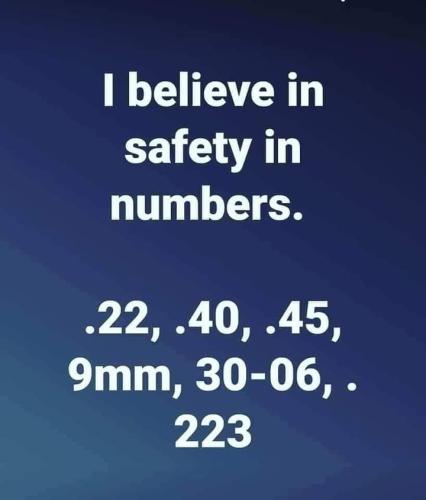 FB_IMG_1693660281901