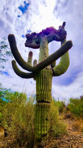 E92C7A57-7041-49A7-8D41-50BF953E74A6