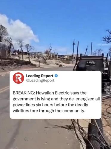 Hawaiian Electric