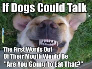 FB_IMG_1695227652375