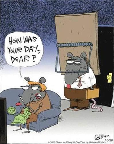 FB_IMG_1694689149580