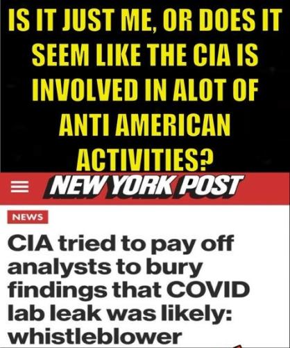 CIA 1