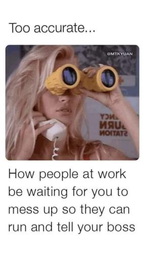 FB_IMG_1694804642311