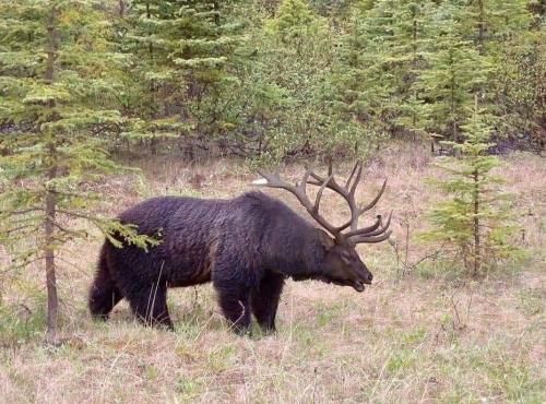 FB_IMG_1695755741343